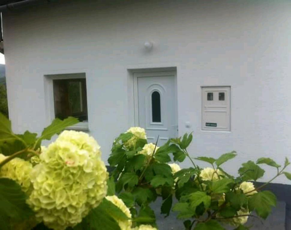 Guest House First Stop Rakovica Bagian luar foto