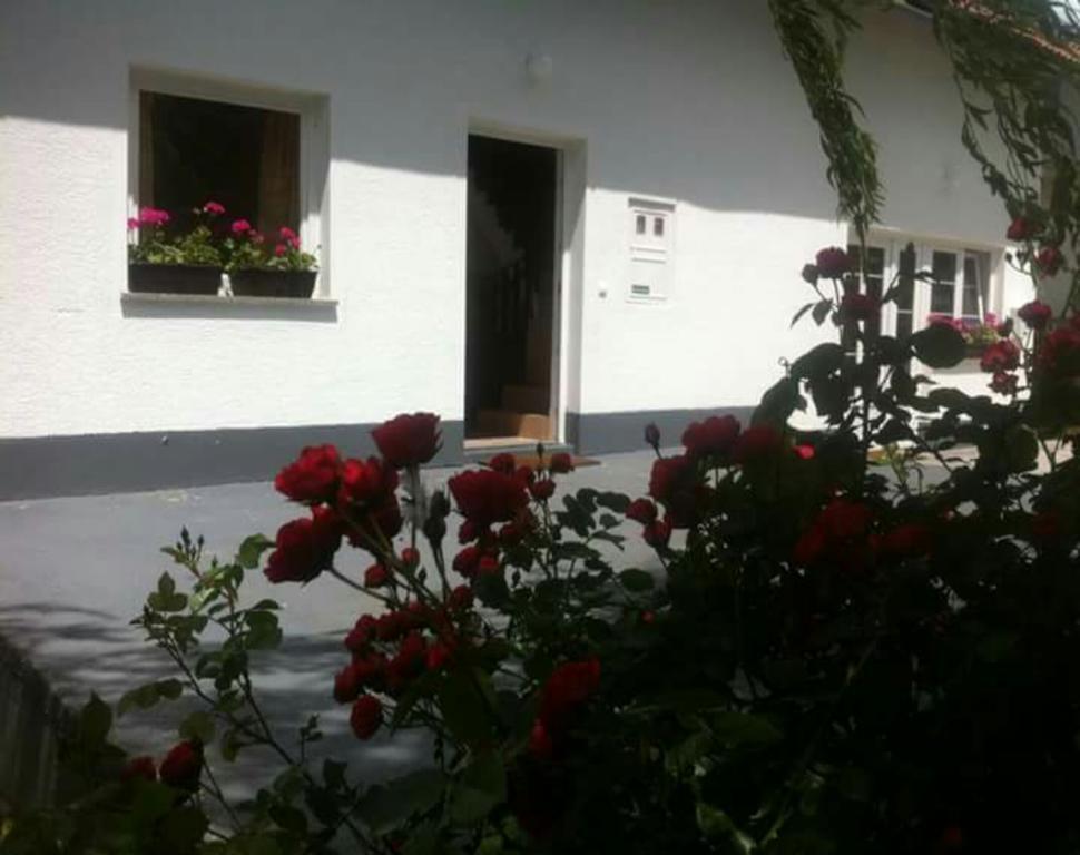 Guest House First Stop Rakovica Bagian luar foto